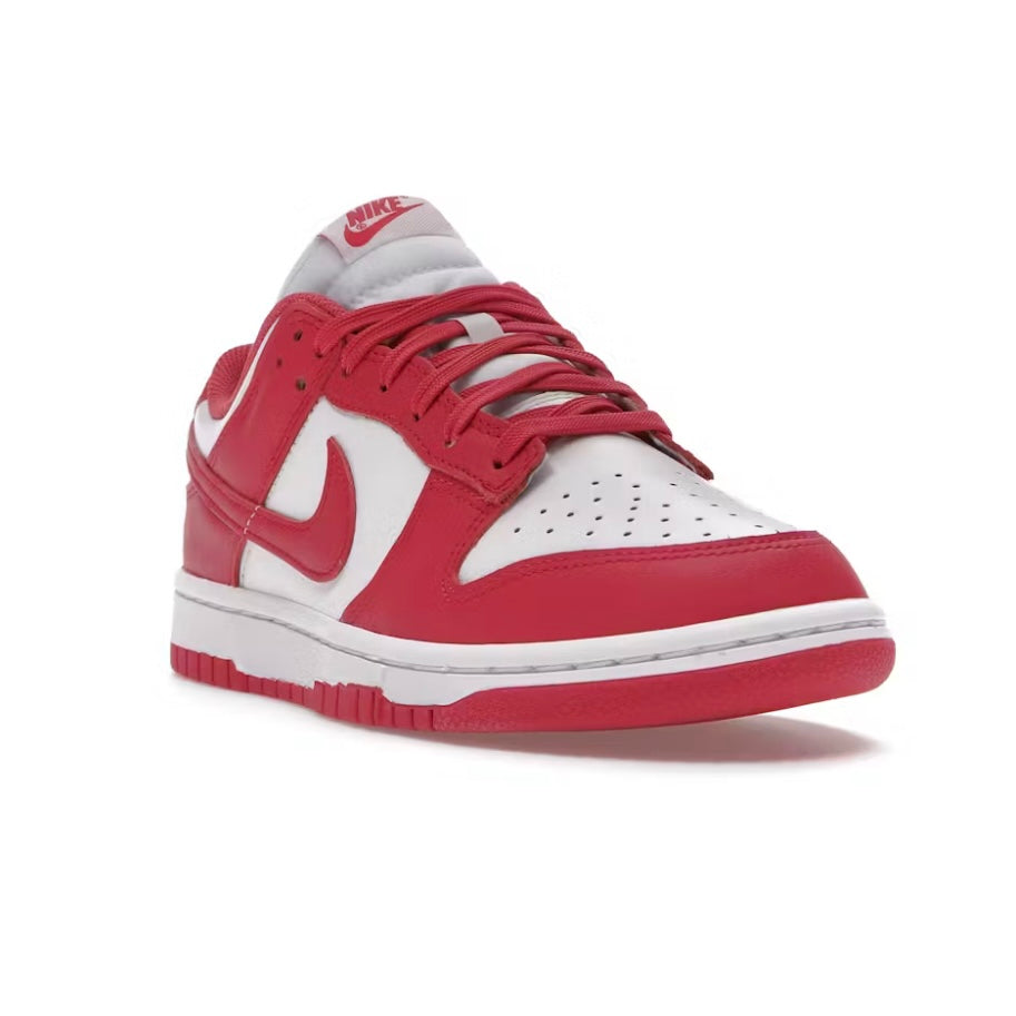 Nike Dunk Low Archeo Pink (W)